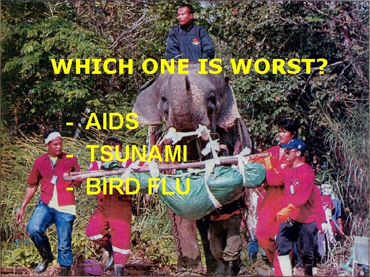 WHICH ONE IS WORST? - AIDS - TSUNAMI - BIRD FLU 