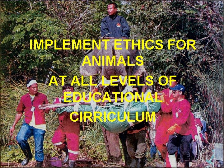 IMPLEMENT ETHICS FOR ANIMALS AT ALL LEVELS OF EDUCATIONAL CIRRICULUM 