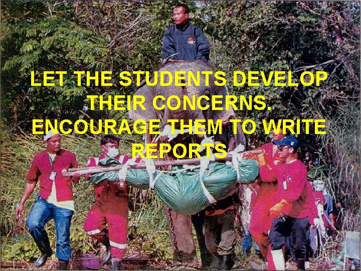 LET THE STUDENTS DEVELOP THEIR CONCERNS. ENCOURAGE THEM TO WRITE REPORTS 