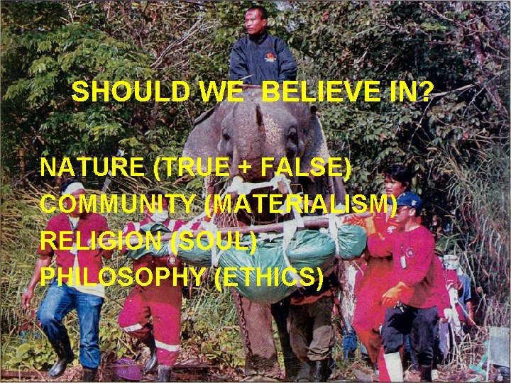 SHOULD WE BELIEVE IN? NATURE (TRUE + FALSE) COMMUNITY (MATERIALISM) RELIGION (SOUL) PHILOSOPHY (ETHICS)
