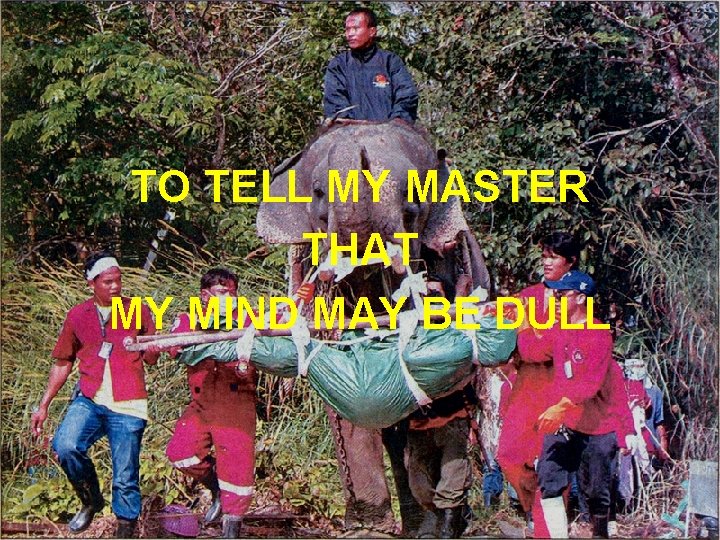 TO TELL MY MASTER THAT MY MIND MAY BE DULL 