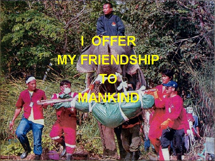 I OFFER MY FRIENDSHIP TO MANKIND 