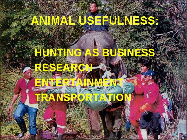 ANIMAL USEFULNESS: HUNTING AS BUSINESS RESEARCH ENTERTAINMENT TRANSPORTATION 