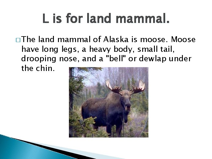 L is for land mammal. � The land mammal of Alaska is moose. Moose