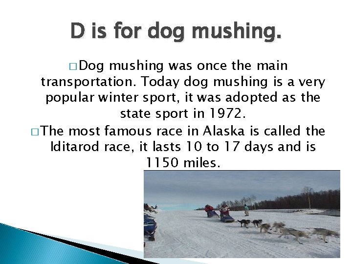 D is for dog mushing. � Dog mushing was once the main transportation. Today