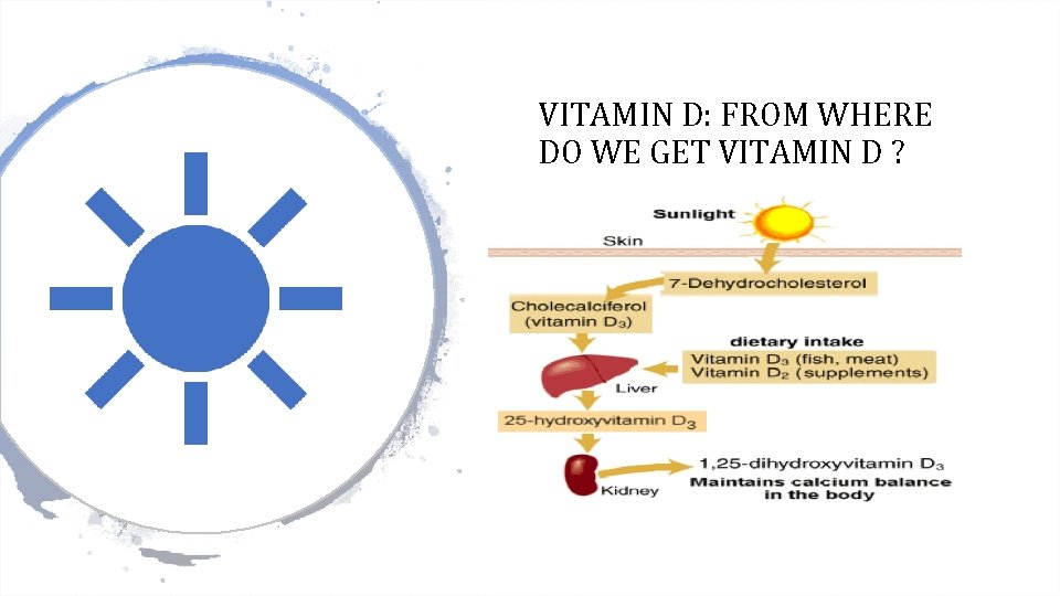 VITAMIN D: FROM WHERE DO WE GET VITAMIN D ? 