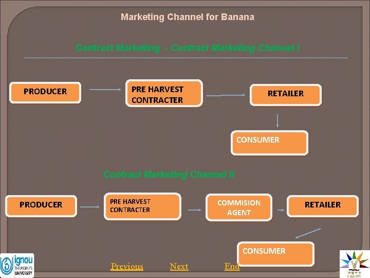 Marketing Channel for Banana Contract Marketing - Contract Marketing Channel I PRODUCER PRE HARVEST