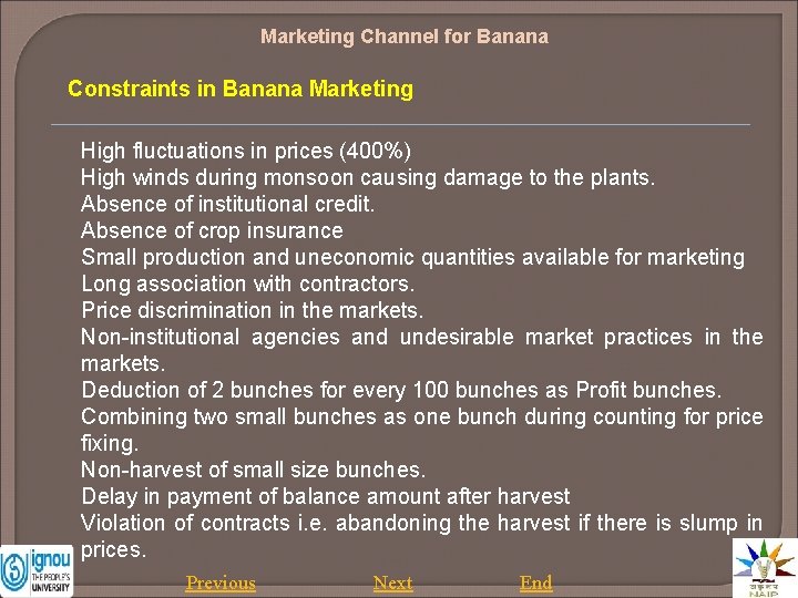 Marketing Channel for Banana Constraints in Banana Marketing High fluctuations in prices (400%) High