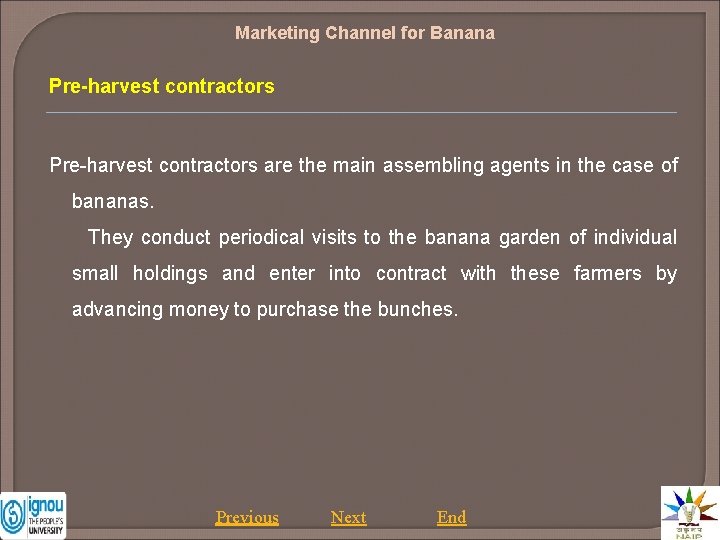 Marketing Channel for Banana Pre-harvest contractors are the main assembling agents in the case