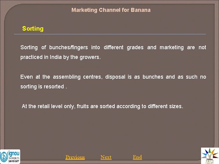 Marketing Channel for Banana Sorting of bunches/fingers into different grades and marketing are not