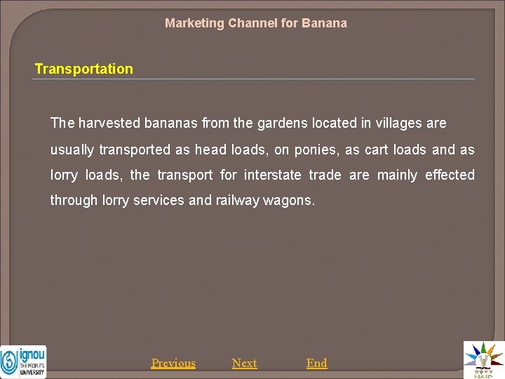 Marketing Channel for Banana Transportation The harvested bananas from the gardens located in villages