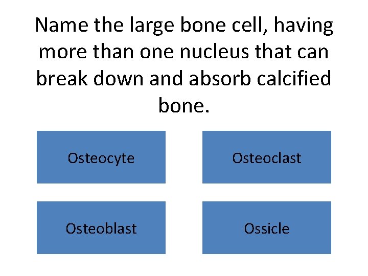 Name the large bone cell, having more than one nucleus that can break down