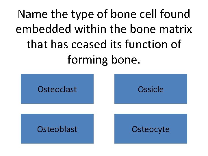 Name the type of bone cell found embedded within the bone matrix that has