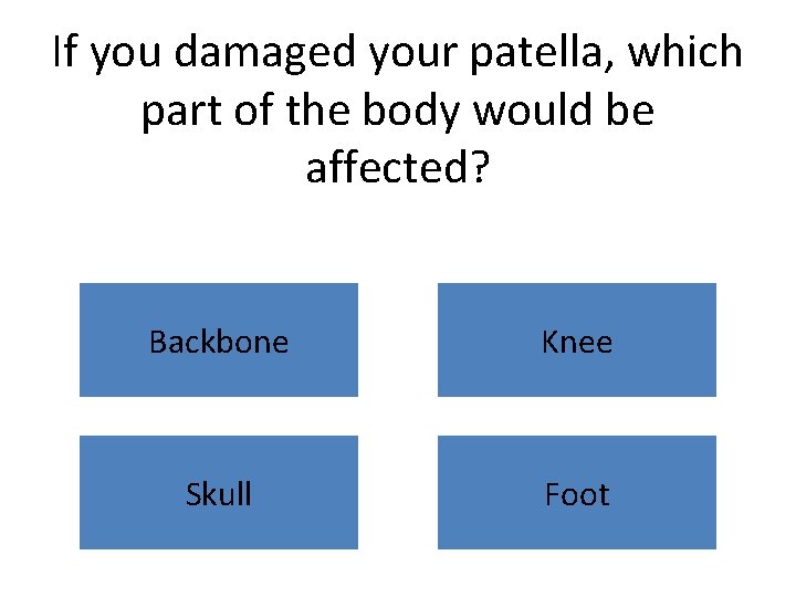 If you damaged your patella, which part of the body would be affected? Backbone