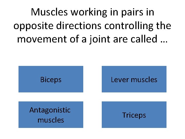 Muscles working in pairs in opposite directions controlling the movement of a joint are
