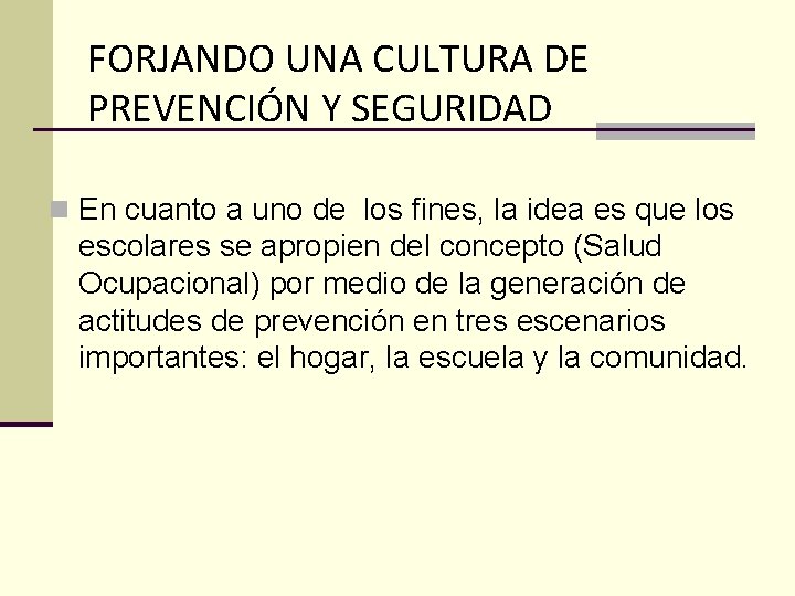 FORJANDO UNA CULTURA DE PREVENCIÓN Y SEGURIDAD n En cuanto a uno de los