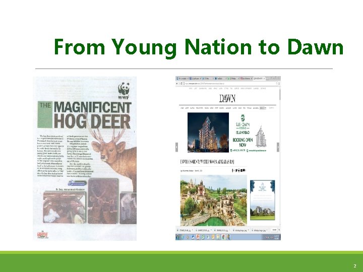 From Young Nation to Dawn 2 