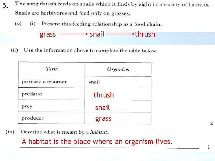 5. grass snail thrush snail grass A habitat is the place where an organism