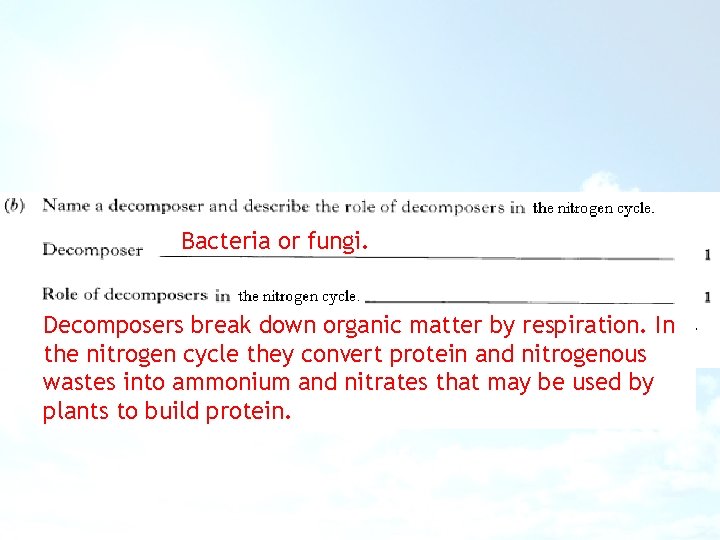 Bacteria or fungi. Decomposers break down organic matter by respiration. In the nitrogen cycle