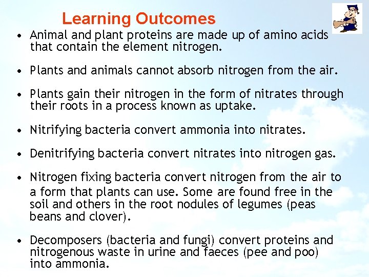 Learning Outcomes • Animal and plant proteins are made up of amino acids that