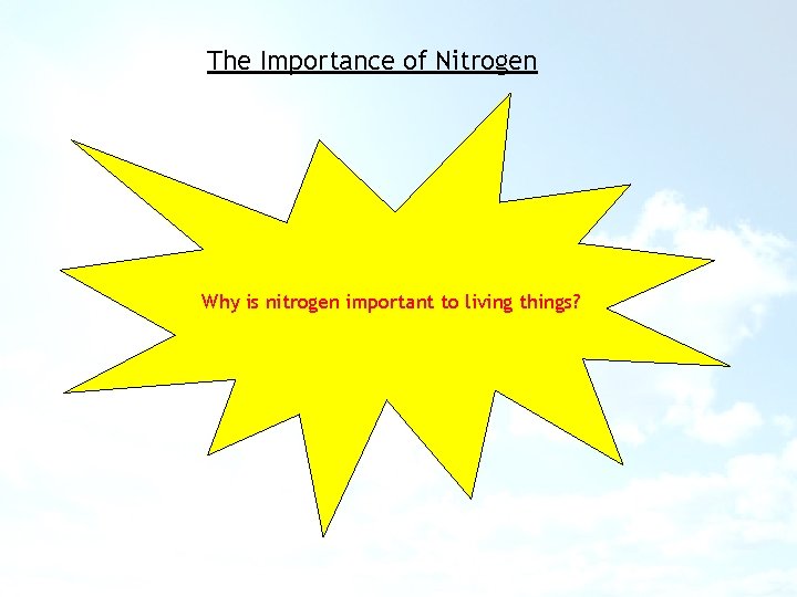 The Importance of Nitrogen Why is nitrogen important to living things? 