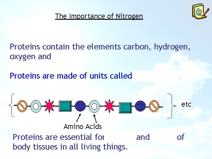 The Importance of Nitrogen Proteins contain the elements carbon, hydrogen, oxygen and nitrogen Proteins