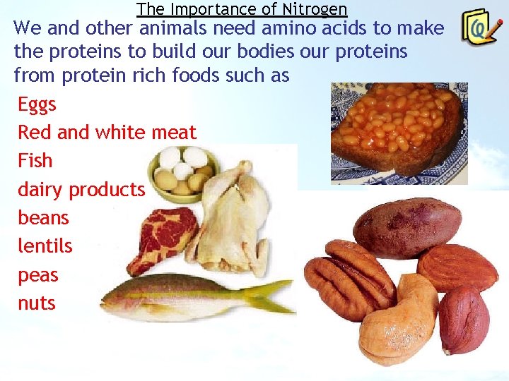 The Importance of Nitrogen We and other animals need amino acids to make the