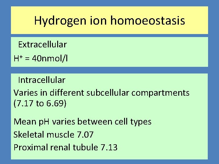 Hydrogen ion homoeostasis Extracellular H+ = 40 nmol/l Intracellular Varies in different subcellular compartments
