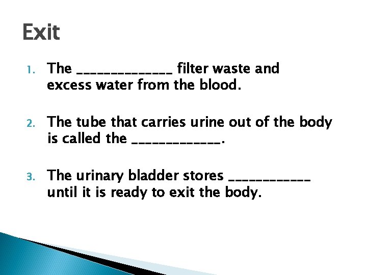 Exit 1. The _______ filter waste and excess water from the blood. 2. The