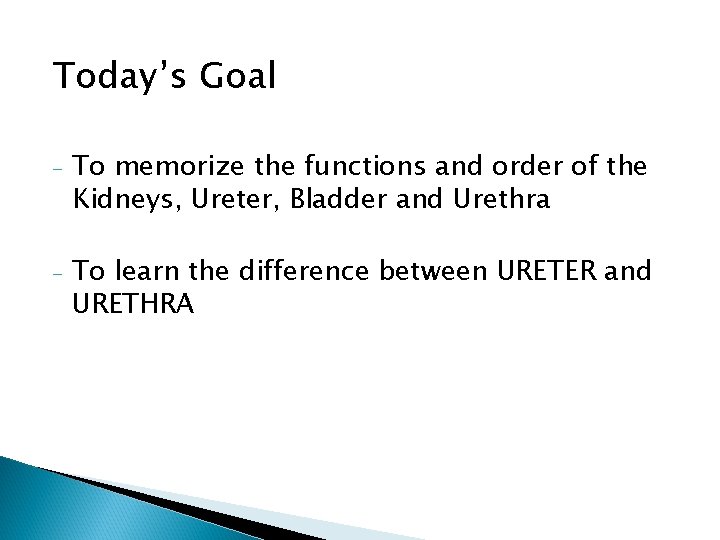 Today’s Goal - To memorize the functions and order of the Kidneys, Ureter, Bladder