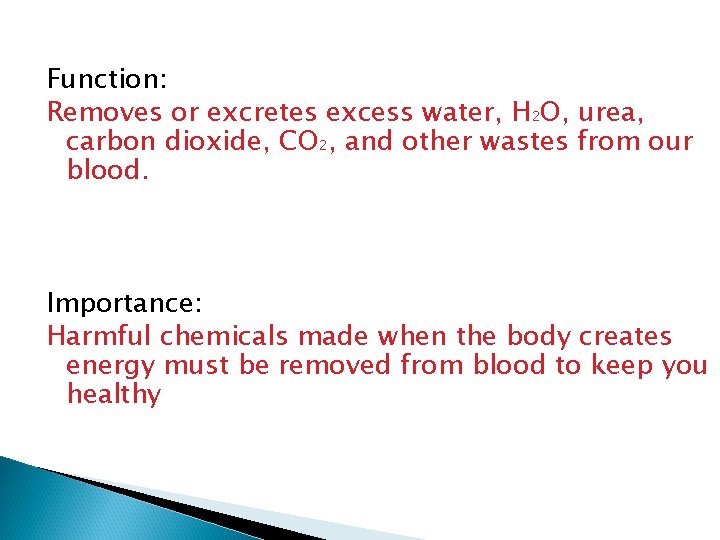 Function: Removes or excretes excess water, H 2 O, urea, carbon dioxide, CO 2,