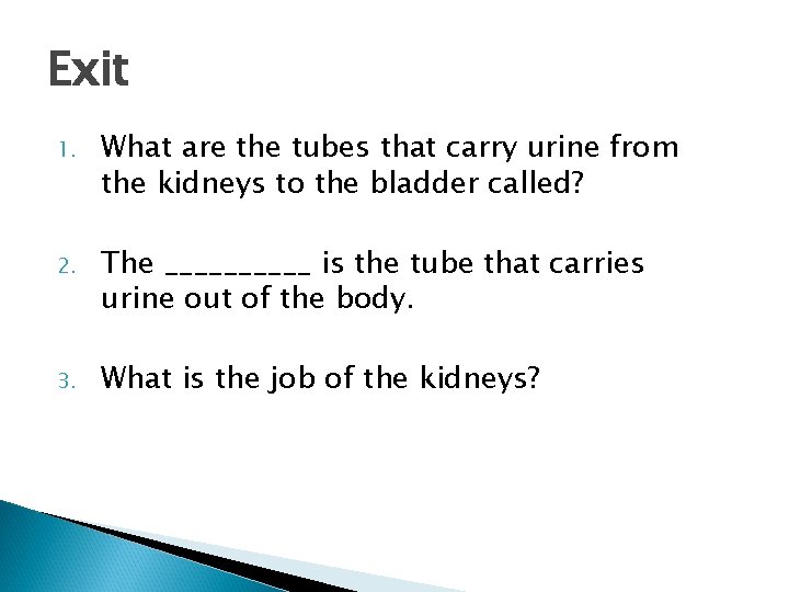 Exit 1. What are the tubes that carry urine from the kidneys to the