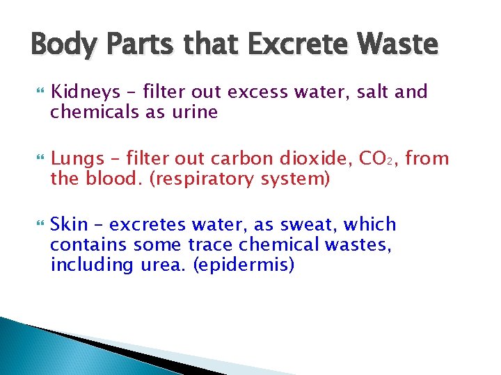 The Excretory System How Our Body Eliminates Waste