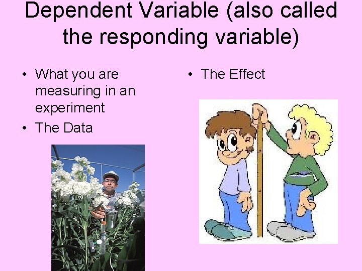Dependent Variable (also called the responding variable) • What you are measuring in an Dependent Variable (also called the responding variable) • What you are measuring in an