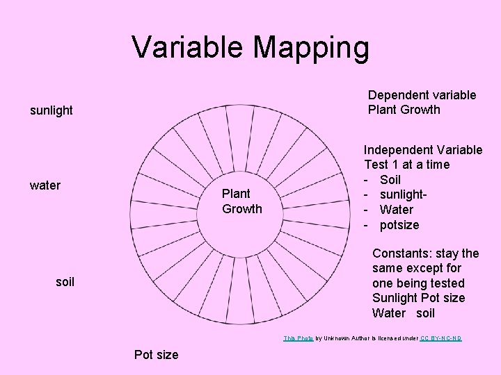 Variable Mapping Dependent variable Plant Growth sunlight water Plant Growth Independent Variable Test 1