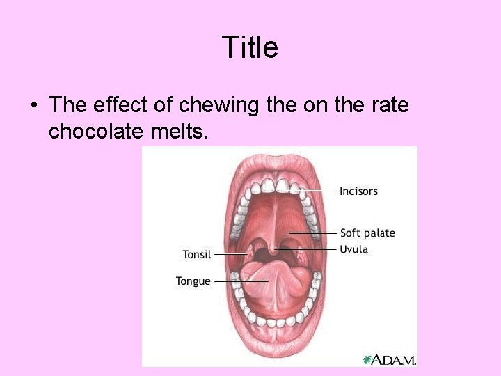 Title • The effect of chewing the on the rate chocolate melts. Title • The effect of chewing the on the rate chocolate melts.