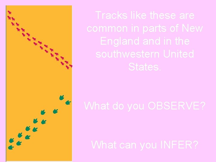 Tracks like these are common in parts of New England in the southwestern United Tracks like these are common in parts of New England in the southwestern United