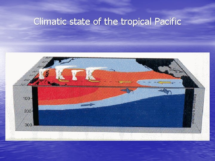 Climatic state of the tropical Pacific 