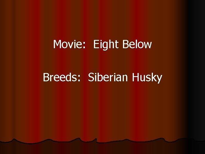 Movie: Eight Below Breeds: Siberian Husky 
