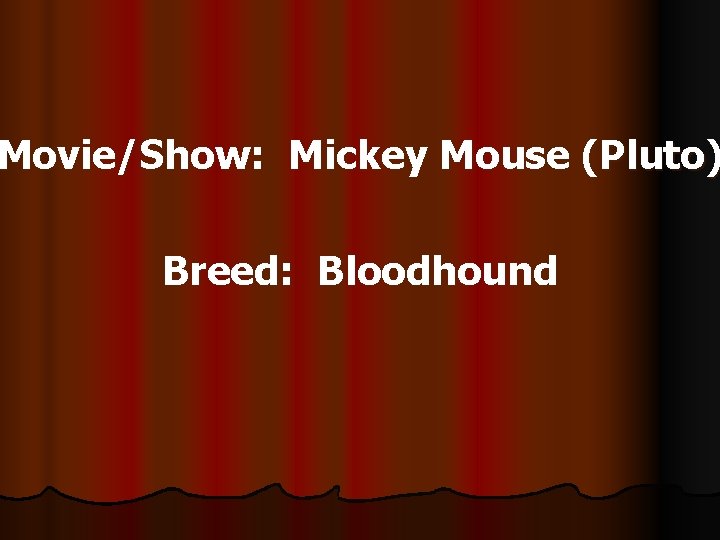 Movie/Show: Mickey Mouse (Pluto) Breed: Bloodhound 