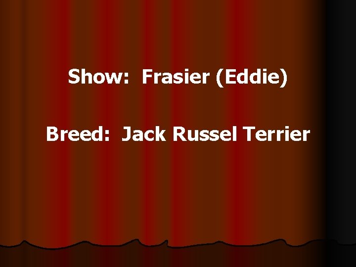 Show: Frasier (Eddie) Breed: Jack Russel Terrier 