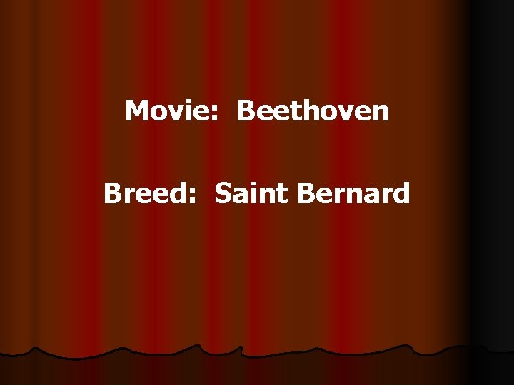 Movie: Beethoven Breed: Saint Bernard 