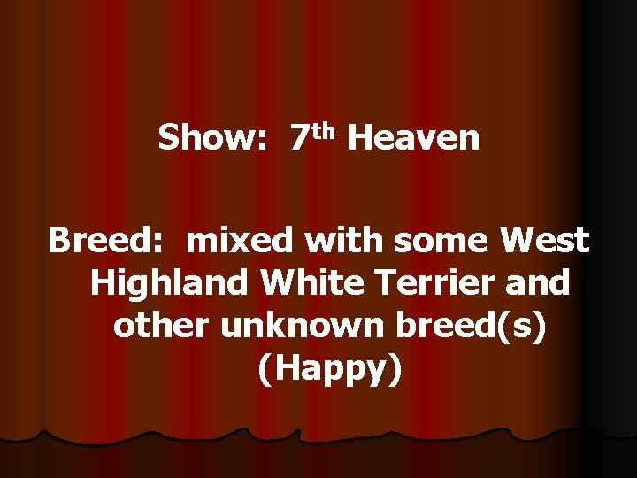 Show: 7 th Heaven Breed: mixed with some West Highland White Terrier and other