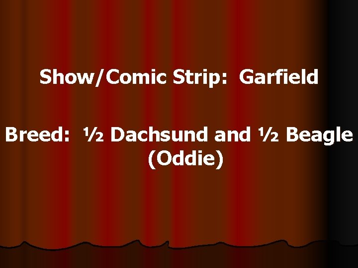 Show/Comic Strip: Garfield Breed: ½ Dachsund and ½ Beagle (Oddie) 