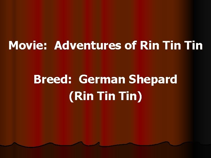 Movie: Adventures of Rin Tin Breed: German Shepard (Rin Tin) 
