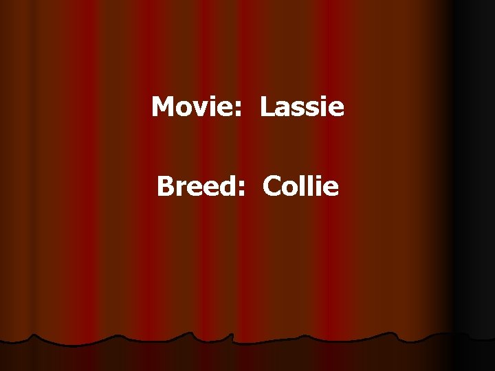 Movie: Lassie Breed: Collie 