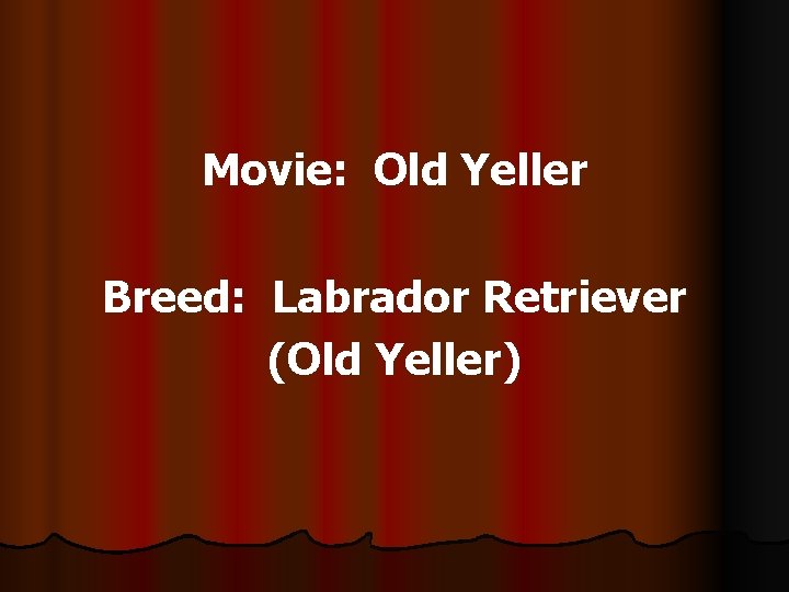 Movie: Old Yeller Breed: Labrador Retriever (Old Yeller) 