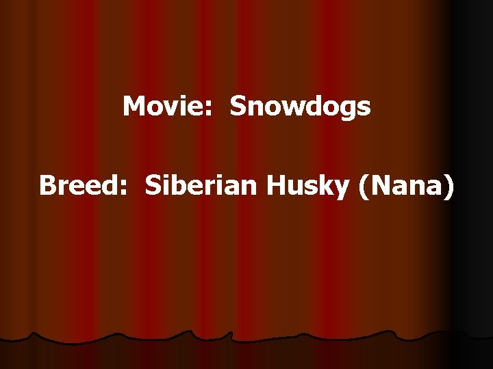 Movie: Snowdogs Breed: Siberian Husky (Nana) 