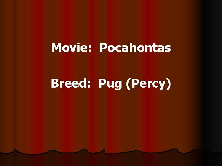 Movie: Pocahontas Breed: Pug (Percy) 