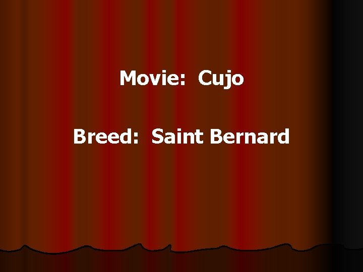Movie: Cujo Breed: Saint Bernard 